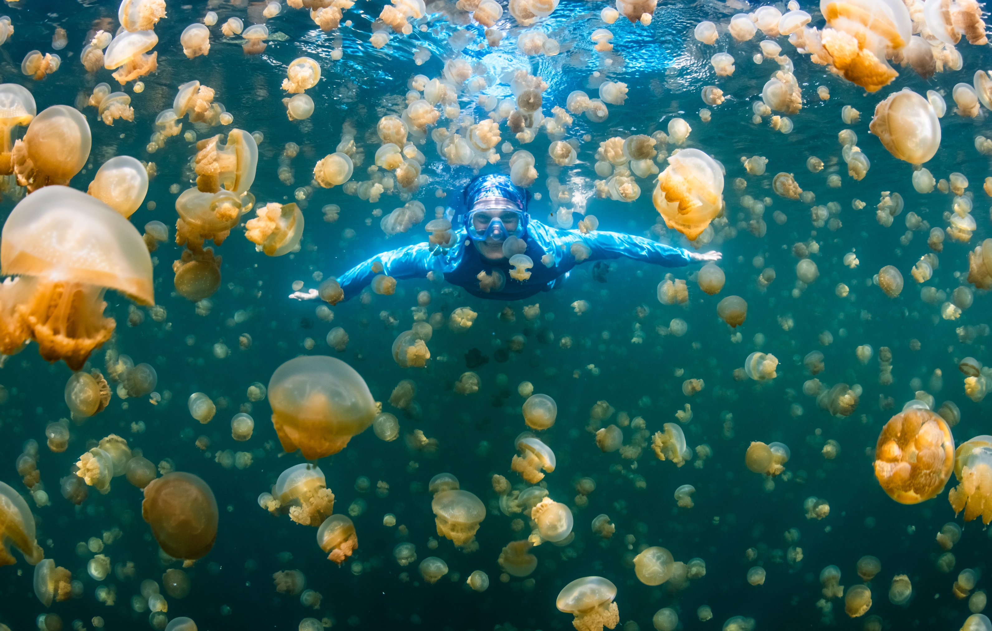 Ocean