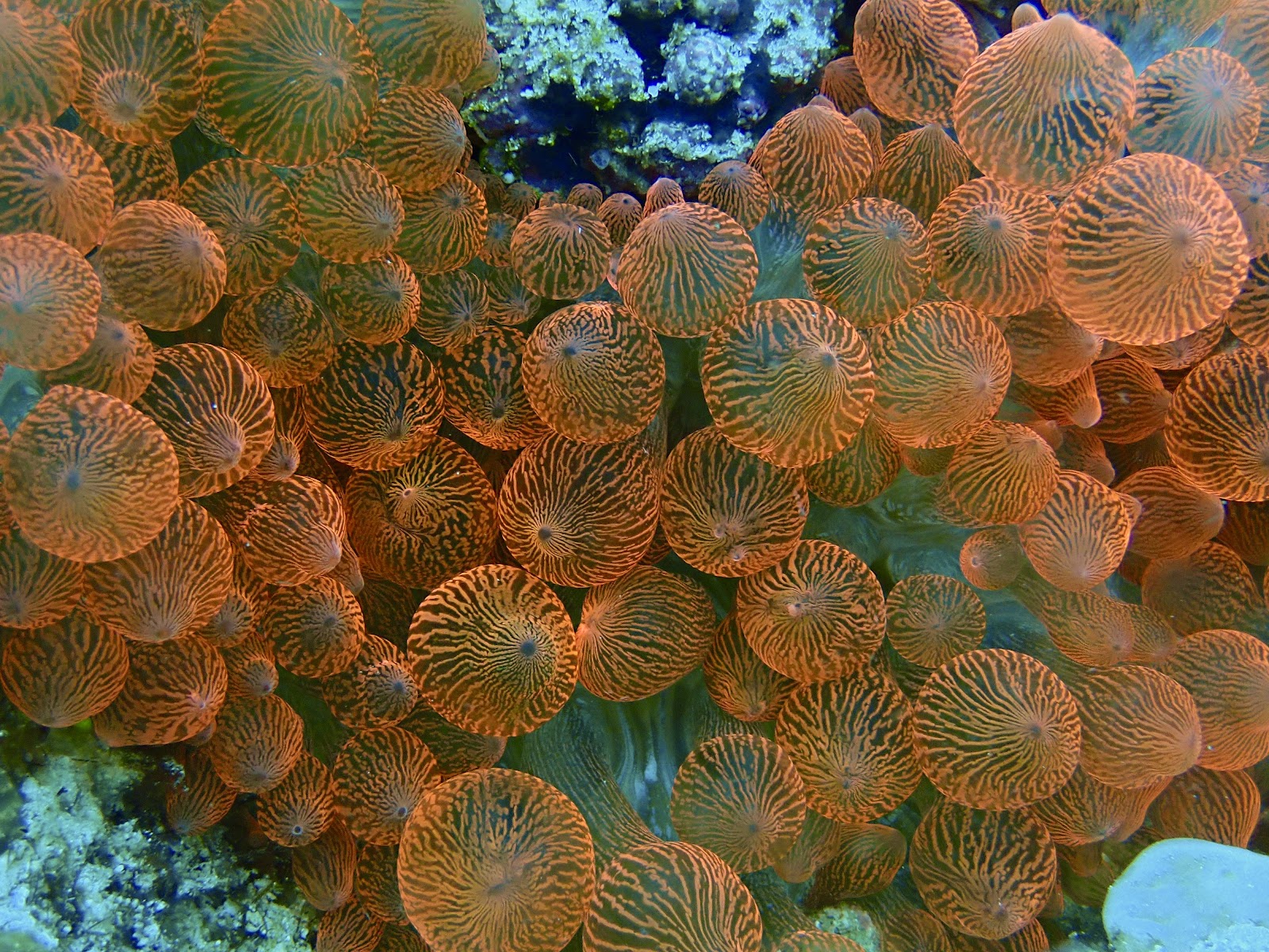 Ocean photo 3