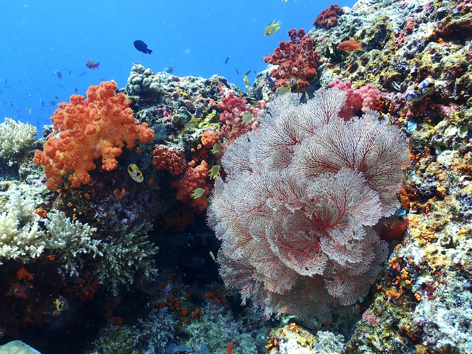 Ocean photo 4