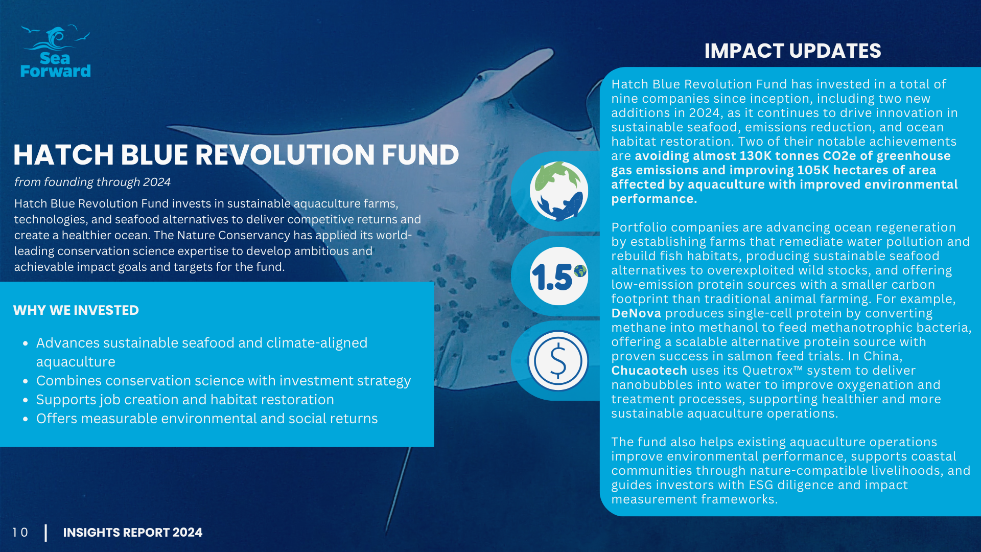 Insights Report page 10