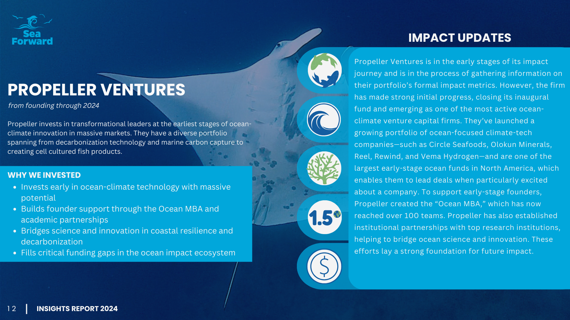 Insights Report page 12