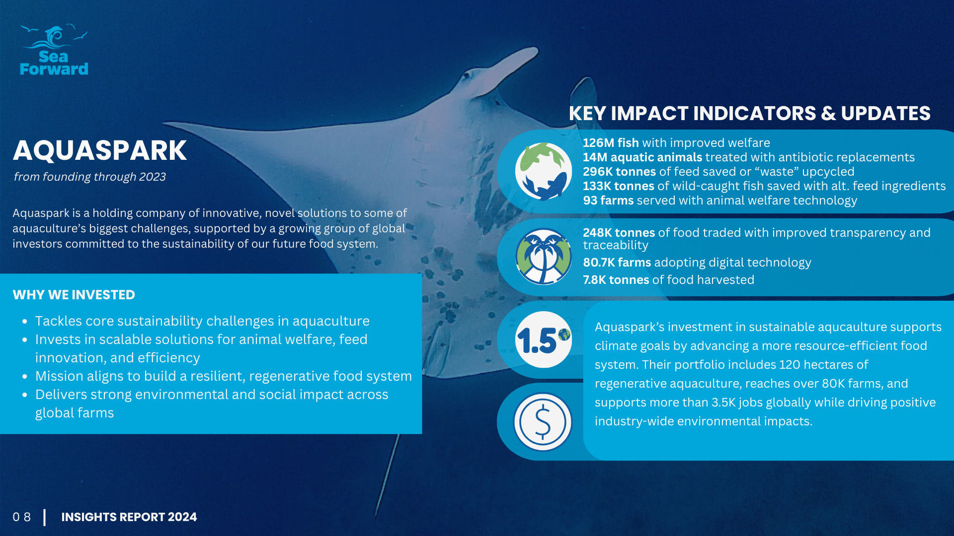 Insights Report page 8