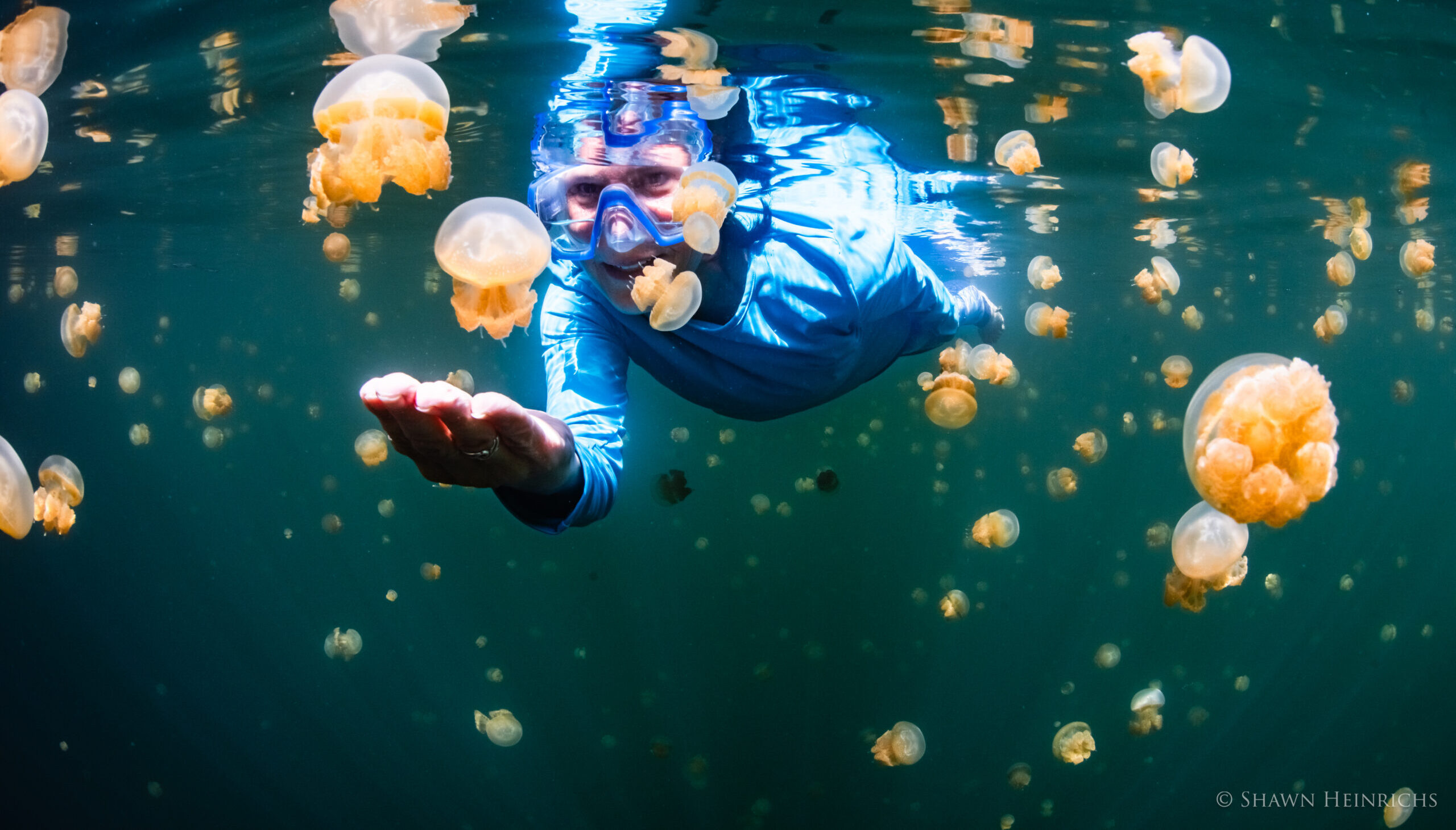 Sea Forward 2024 Insights Report