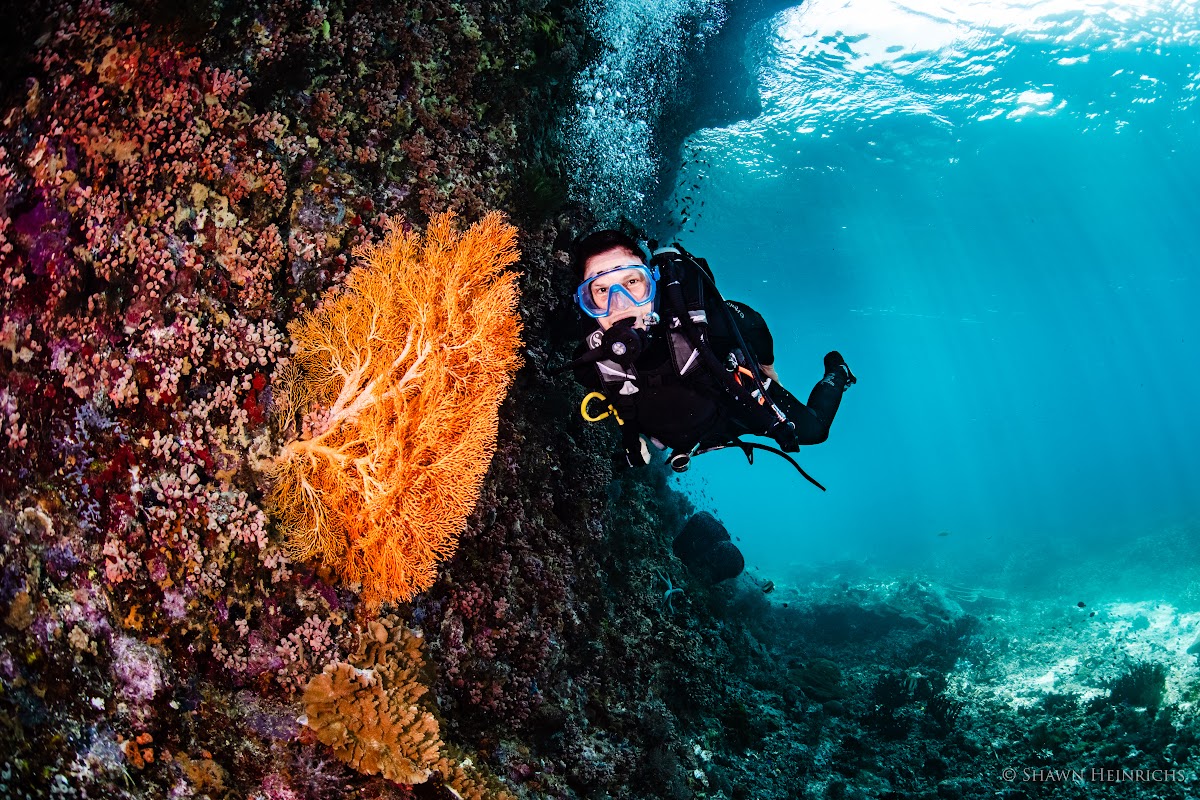 Ocean investment