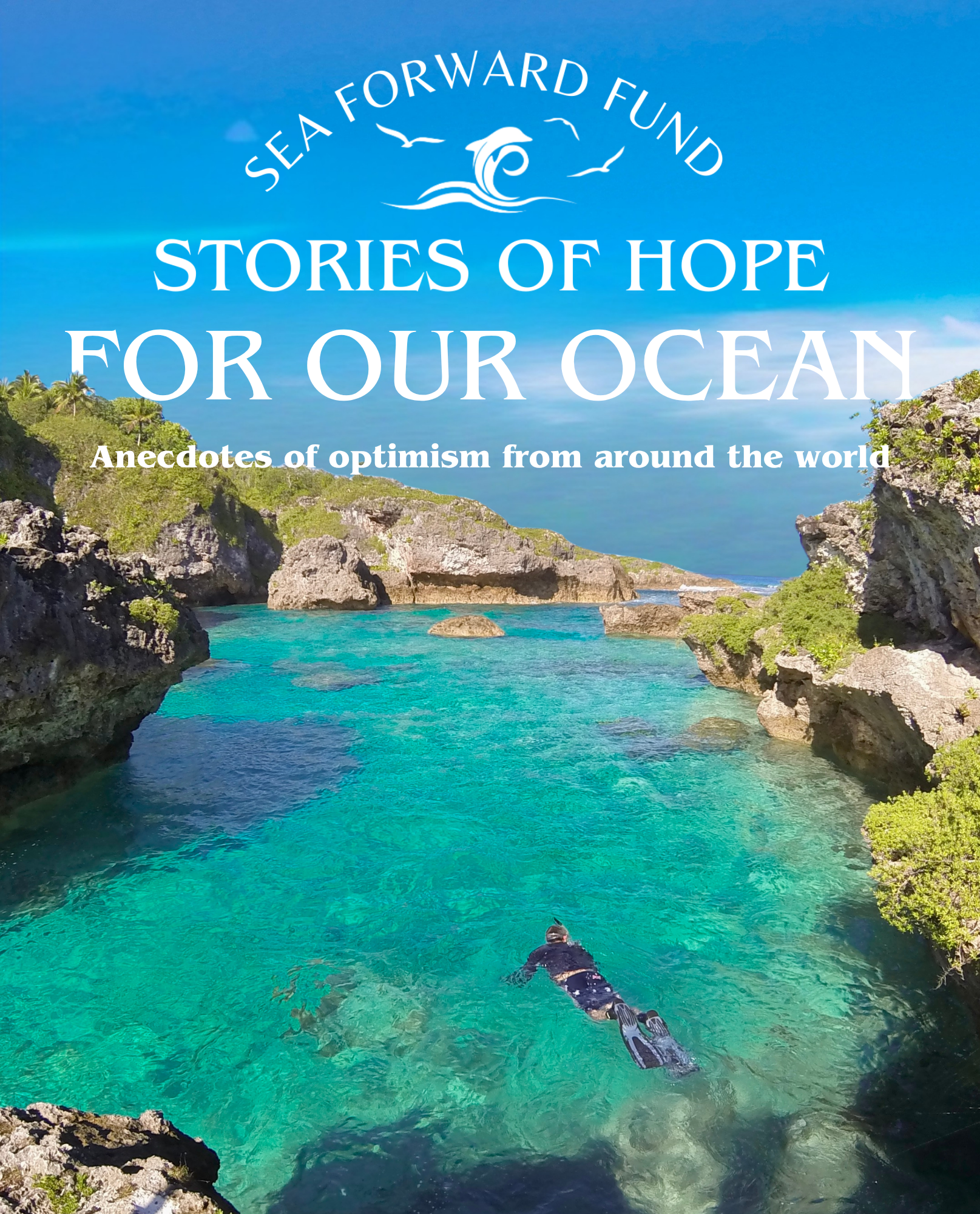 sea-forward-fund--stories-of-hope-for-our-ocean-1