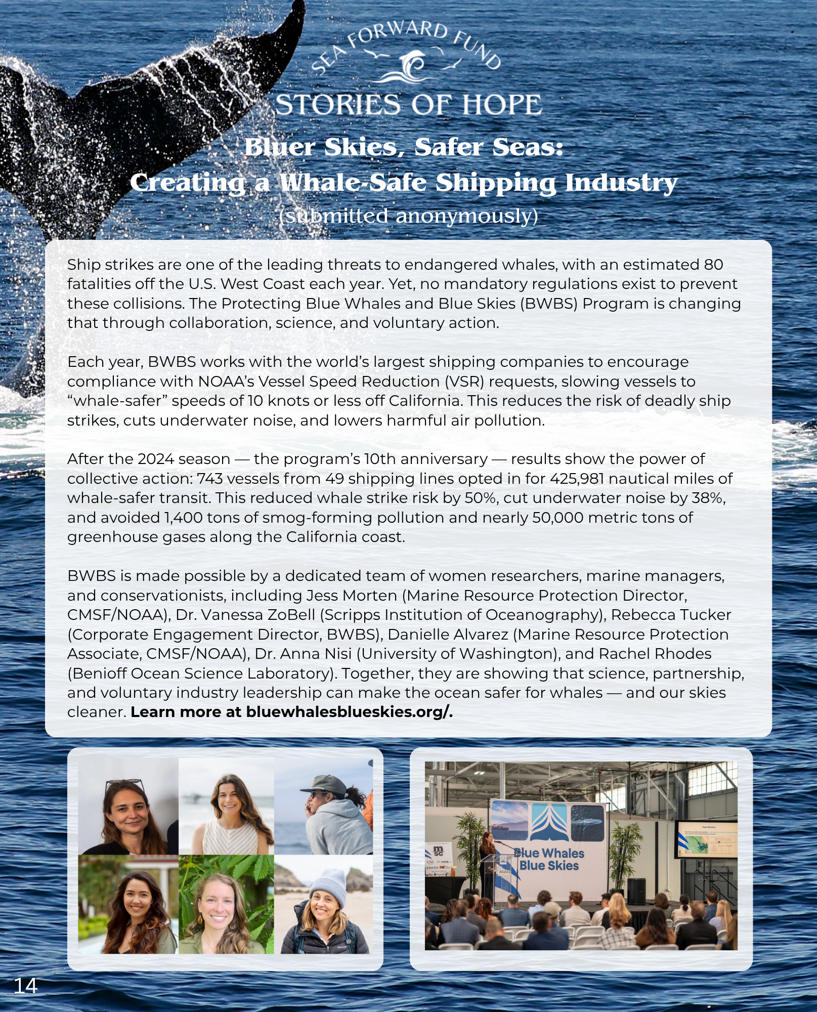 sea-forward-fund--stories-of-hope-for-our-ocean-14
