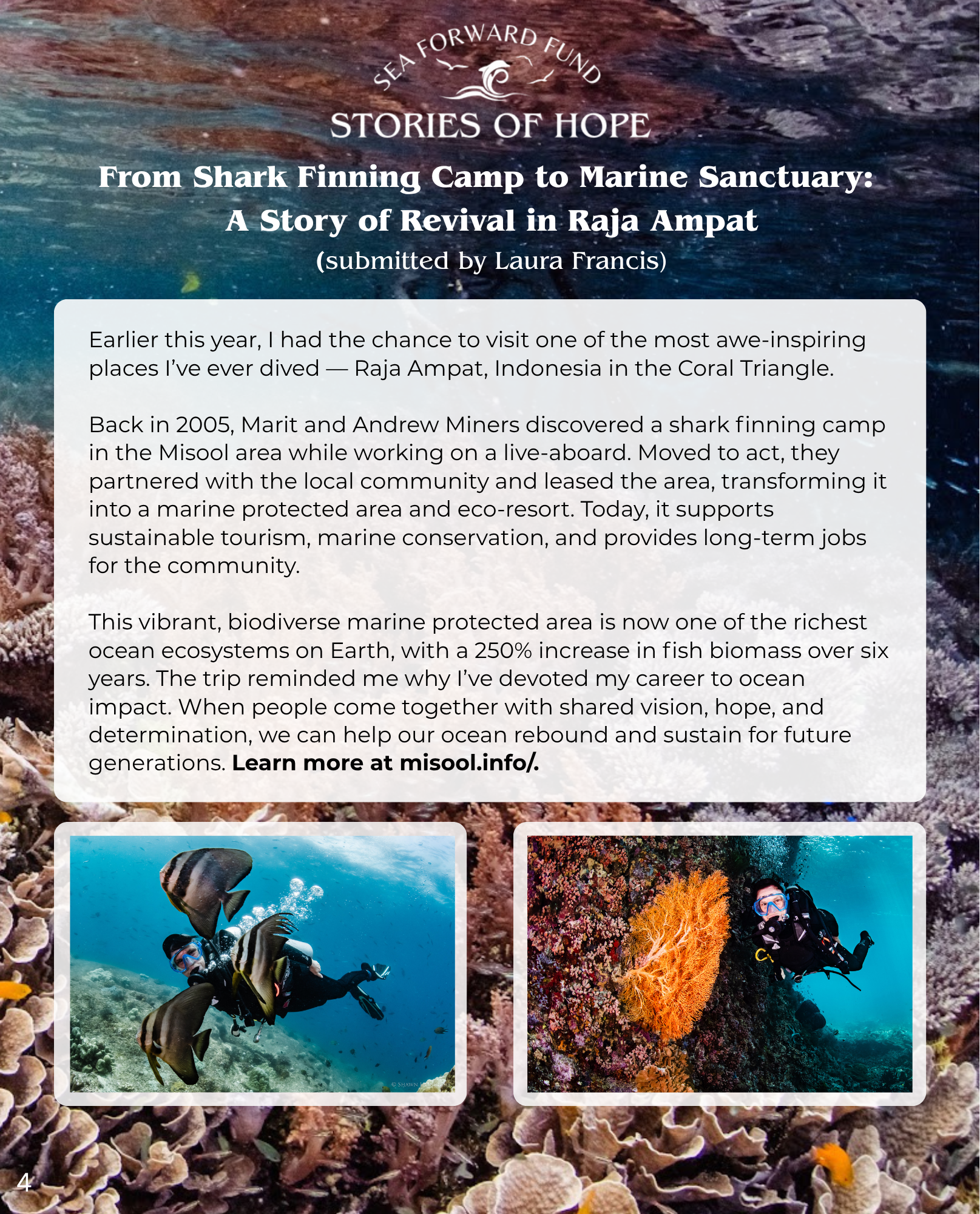 sea-forward-fund--stories-of-hope-for-our-ocean-4