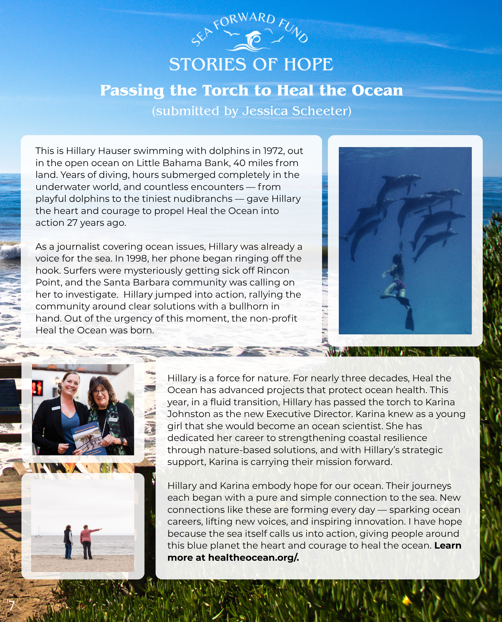 sea-forward-fund--stories-of-hope-for-our-ocean-7