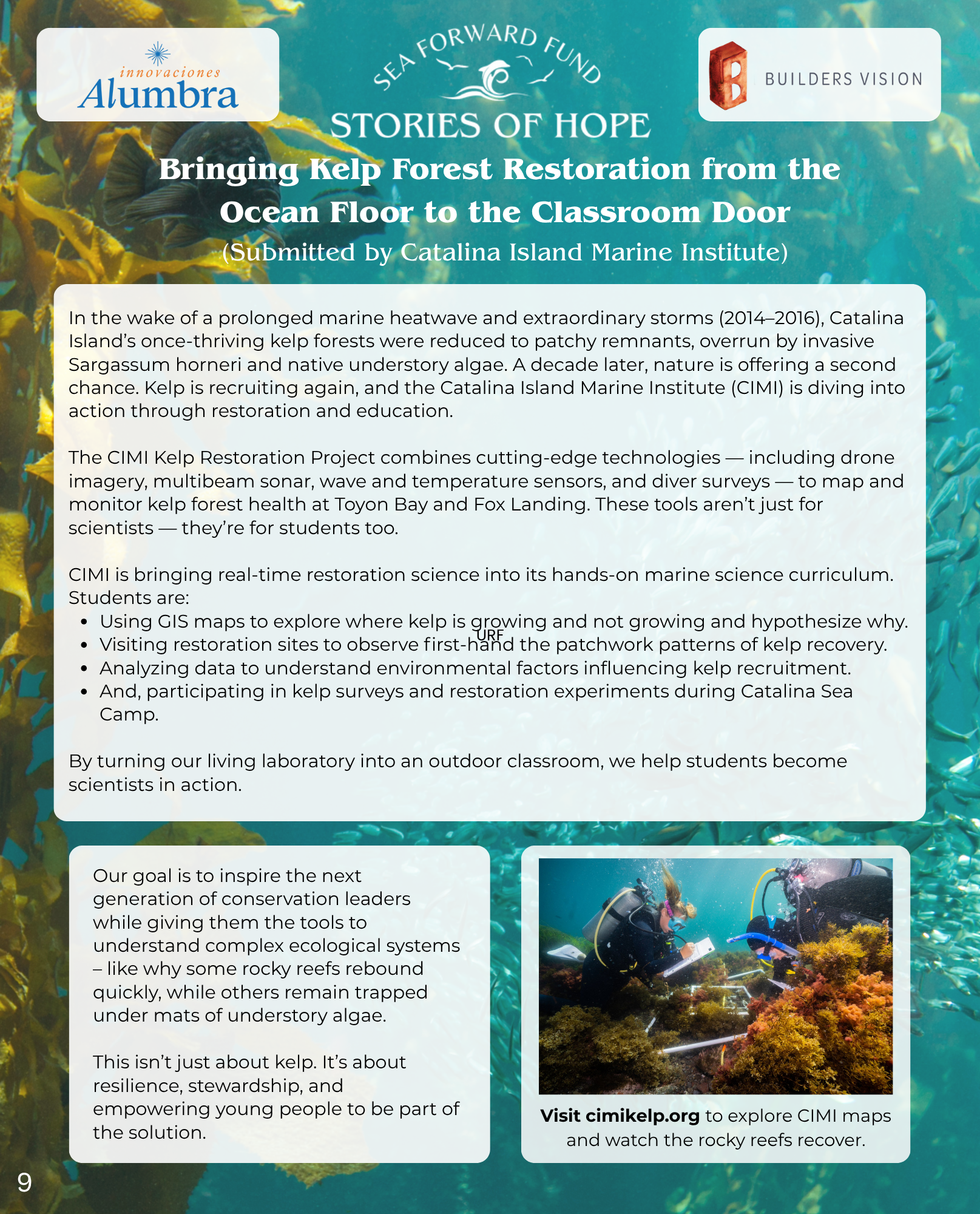 sea-forward-fund--stories-of-hope-for-our-ocean-9